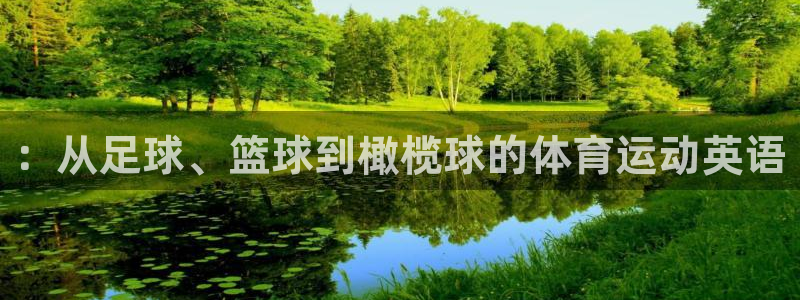 ：从足球、篮球到橄榄球的体育运动英语