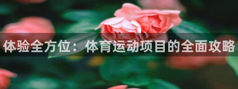 体验全方位：体育运动项目的全面攻略
