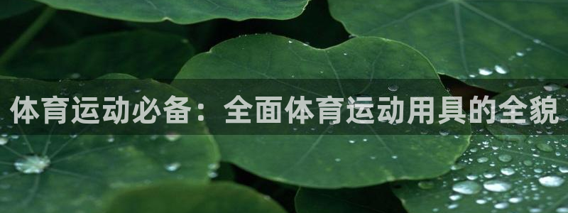 体育运动必备：全面体育运动用具的全貌