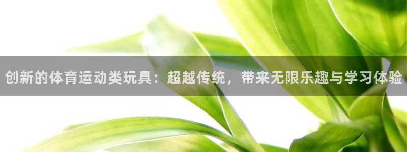 创新的体育运动类玩具：超越传统，带来无限乐趣与学习体验
