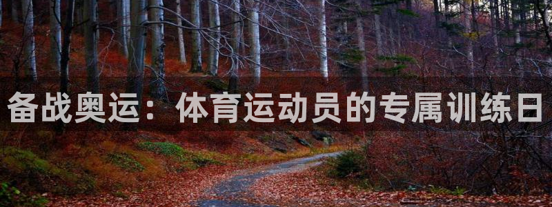 备战奥运：体育运动员的专属训练日