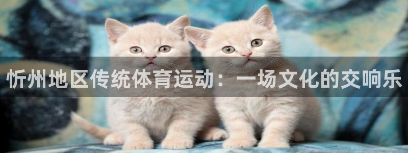 忻州地区传统体育运动：一场文化的交响乐