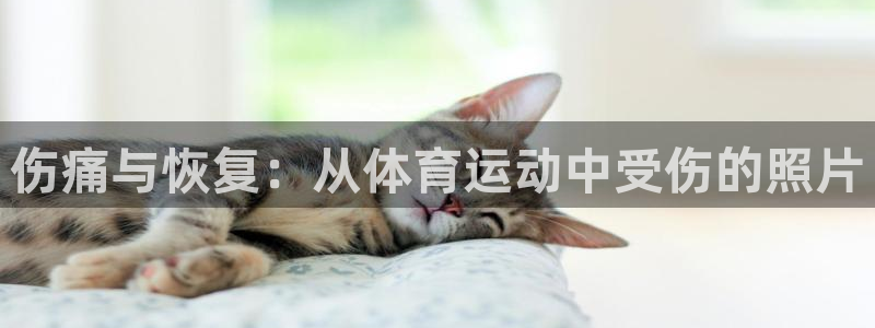 伤痛与恢复：从体育运动中受伤的照片