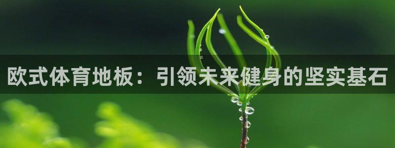 欧式体育地板：引领未来健身的坚实基石