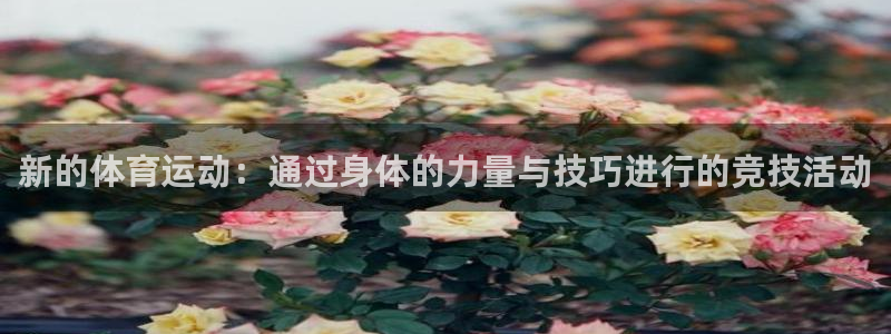 新的体育运动：通过身体的力量与技巧进行的竞技活动